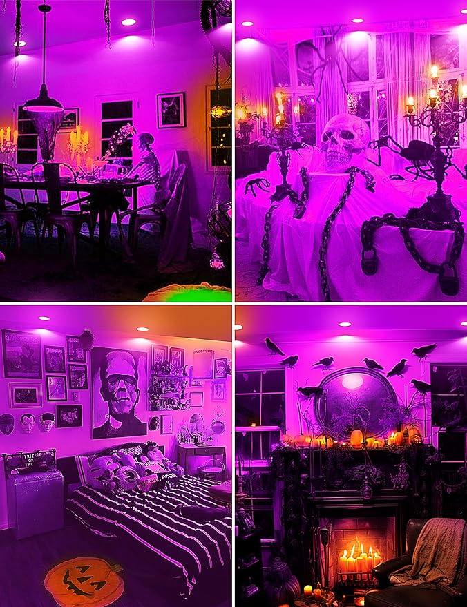 JandCase BR30 Halloween Light Bulbs, E26 Base Halloween Purple Indoor Flood Light Bulbs, 11W(65W Equivalent), Purple Flood Light Bulbs for Halloween Decoration,Not-Dimmable, 2 Pack